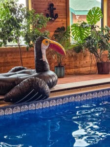 Child Swimming Lessons in a Pool Laurel Montana